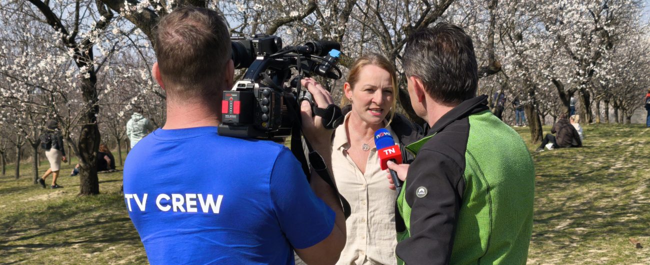 Kateřina Kopová poskytuje rozhovor do televize v prostředí rozkvetlých mandloní.