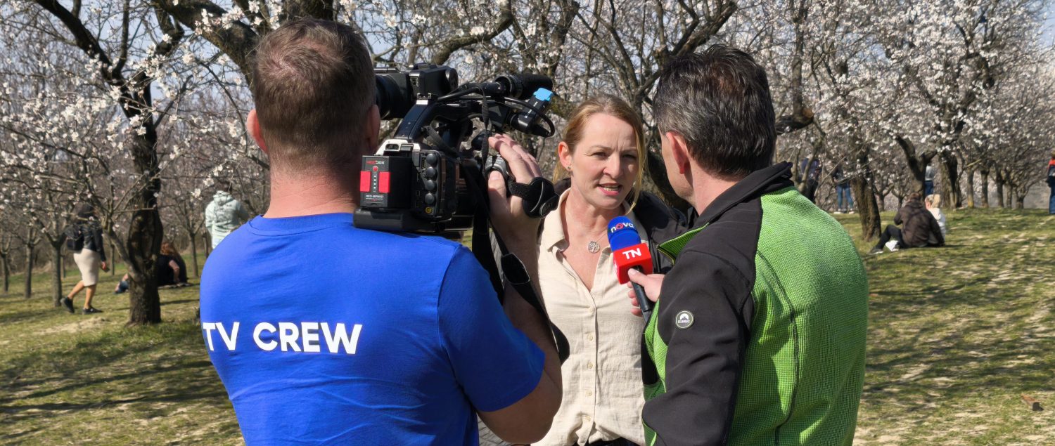 Kateřina Kopová poskytuje rozhovor do televize v prostředí rozkvetlých mandloní.